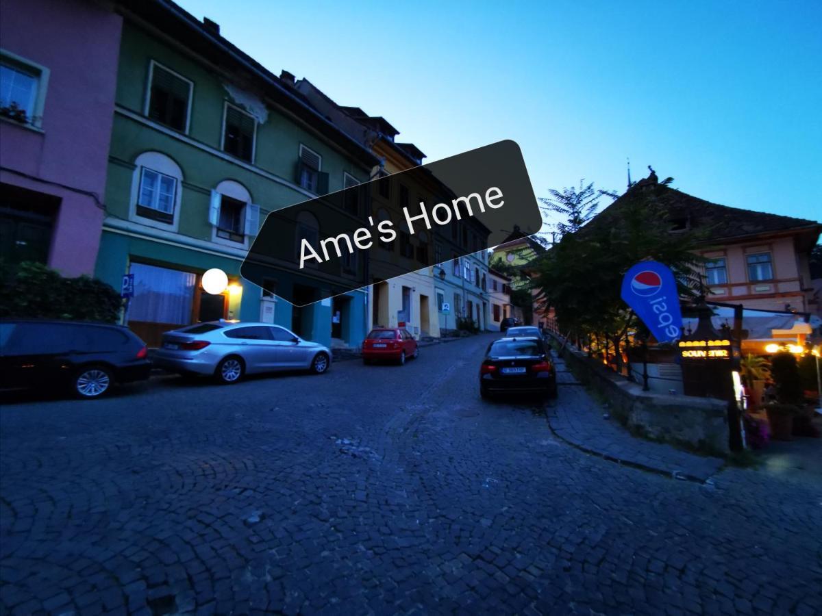 Ame'S Home Сигишоара Екстериор снимка